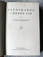 Svenskarna i heden tid/Vikingar i v&auml;sterled