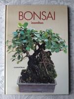 Bonsai inomhus