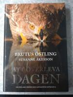 Att överleva dagen