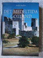 Det medeltida Gotland : en arkeologisk guidebok