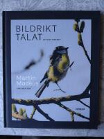 Bildrikt talat : reflektionsbok