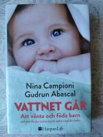 Vattnet g&aring;r : att v&auml;nta och f&ouml;da barn och den f&ouml;rsta omtumlande tiden med din bebis