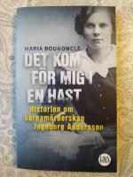 Det kom f&ouml;r mig i en hast : historien om barnam&ouml;rderskan Ingeborg Andersson