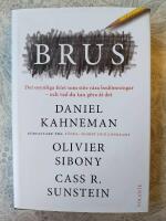 Brus : det osynliga felet som st&ouml;r v&aring;ra bed&ouml;mningar - och vad du kan g&ouml;ra &aring;t det