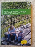 F&ouml;r&auml;ldrapraktika : En bok om det vardagliga