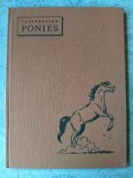 Introducing ponies 