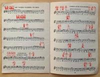 Ringlekar upptecknade i Roslagen