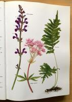 Le Piante Della Salute. Atlante delle piante medicinali