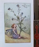 Flower Fairies of the Summer