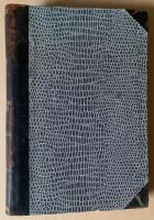 Bortom godt och ondt (Jenseits von Gut und B&ouml;se)