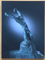 THE MARABOU COLLECTIONS. 