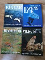 Audubon's f&aring;glar