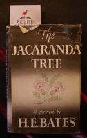 The Jacaranda Tree