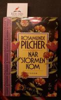 N&auml;r stormen kom