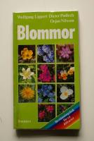 Blommor