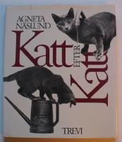 Katt efter katt