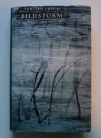 Bildstorm
