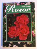 Rosor