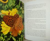 Odla f&ouml;r insekter - PRESENTSKICK