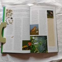 Den naturliga tr&auml;dg&aring;rden