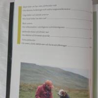 Hela jakthunden : om friskv&aring;rd och sjukv&aring;rd f&ouml;r jakthundar