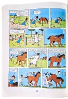  Direkt&ouml;r Pumps testamentet nr 3 1976 - Johan Lotta och Jockos &auml;ventyr