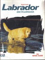 LABRADOR Encyclopaedia  Royal Canin