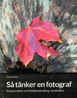 S&aring; t&auml;nker en fotograf : komposition och bildbehandling i praktiken
