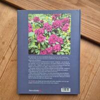 Rododendron : arter, hybrider, samplanteringsv&auml;xter och sk&ouml;tselr&aring;d
