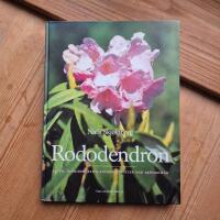 Rododendron : arter, hybrider, samplanteringsv&auml;xter och sk&ouml;tselr&aring;d