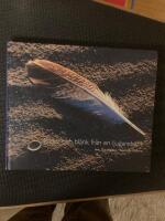 Bilder och bl&auml;nk fr&aring;n en ljugareb&auml;nk