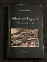 Sk&auml;rvor och fragment - ess&auml;er i postmodern moral 