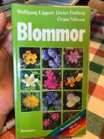 Blommor