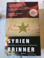 Syrien brinner : hur revolutionen mot Assad blev ett inb&ouml;rdeskrig