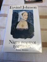 N&aring;gra steg mot tystnaden : en roman om f&aring;ngna