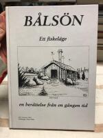 B&aring;ls&ouml;n : ett fiskel&auml;ge : [en ber&auml;ttelse fr&aring;n en g&aring;ngen tid