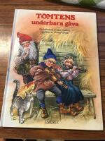 Tomtens underbara g&aring;va : en bilderbok