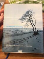 En or&ouml;rd str&auml;ng : Dag Hammarskj&ouml;lds liv i haiku och fotografier