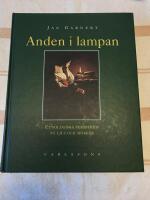 Anden i lampan : etnologiska perspektiv p&aring; ljus och m&ouml;rker