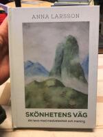 Sk&ouml;nhetens v&auml;g : att leva med medvetenhet och mening