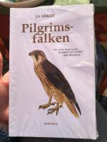 Pilgrimsfalken