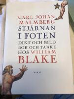 Stj&auml;rnan i foten : dikt och bild, bok och tanke hos William Blake