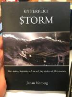 En perfekt storm : hur staten, kapitalet och du och jag s&auml;nkte v&auml;rldsekonomin