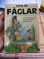 Titta p&aring; f&aring;glar : [en illustrerad guidebok f&ouml;r nykl&auml;ckta f&aring;gelsk&aring;dare]