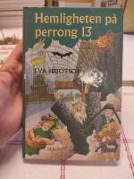 Hemligheten p&aring; perrong 13