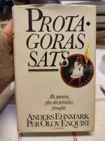 Protagoras sats : p&aring; spaning efter det politiska f&ouml;rnuftet