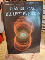 Fr&aring;n Big Bang till livet p&aring; jorden