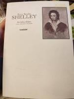 Att lyfta sl&ouml;jan : texter om poesi och politik