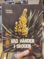 Vad h&auml;nder i skogen