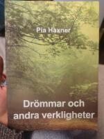 Dr&ouml;mmar och andra verkligheter